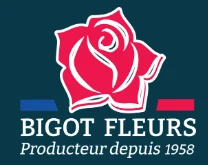 Logo client